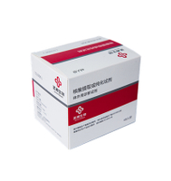 Kit de test d'acide nucléique de diagnostic médical sans solution Kit de test de temps réel PCR