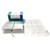 Kit de détection d'acide nucléique Zybio SARS-COV2 pour virus corona